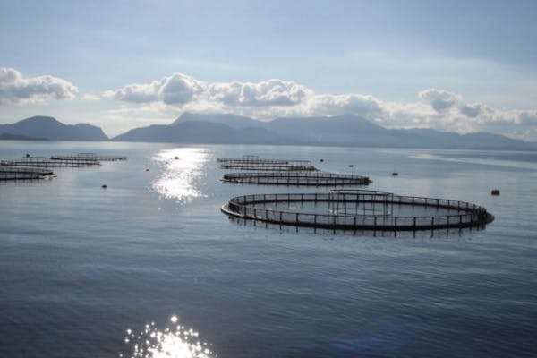 Imenco Aquaculture
