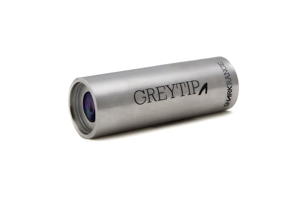 Greytip Shark Camera