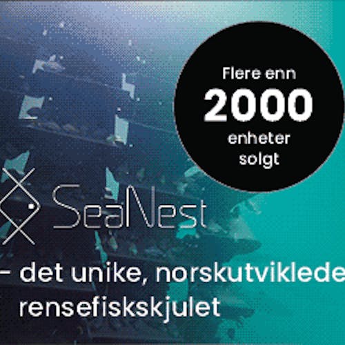 SeaNest_300x250_K4C_2021